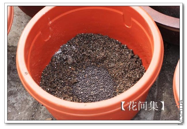 IMG_9206 ����.jpg