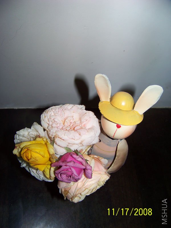 ��Ƭ 024.jpg