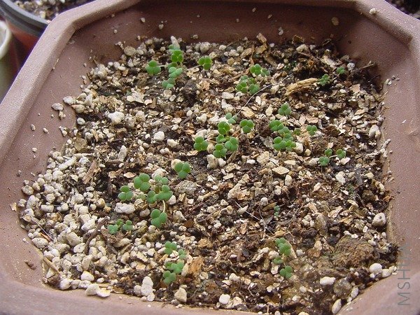 �������õ���ȥ���ֹ�����������ȫ�������Բ��ģ����֥�黹С