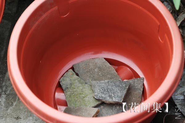 IMG_9750 ����.jpg