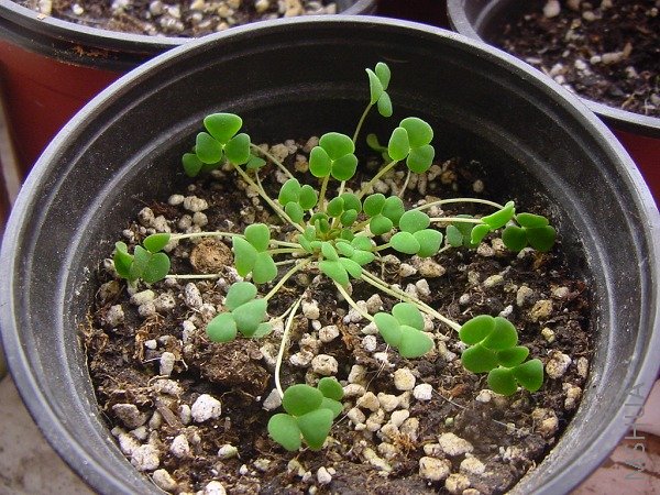 �������Ѿ����ܴ���