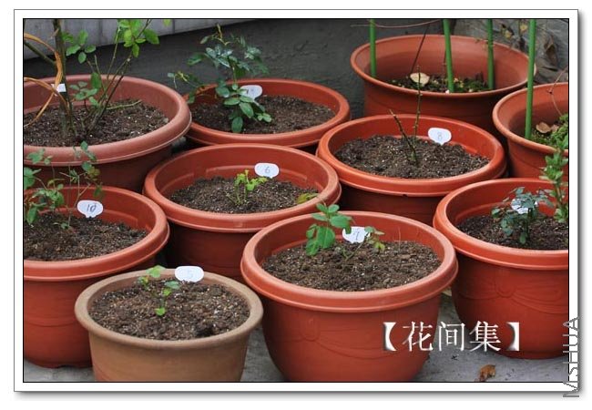 IMG_9224 ����.jpg