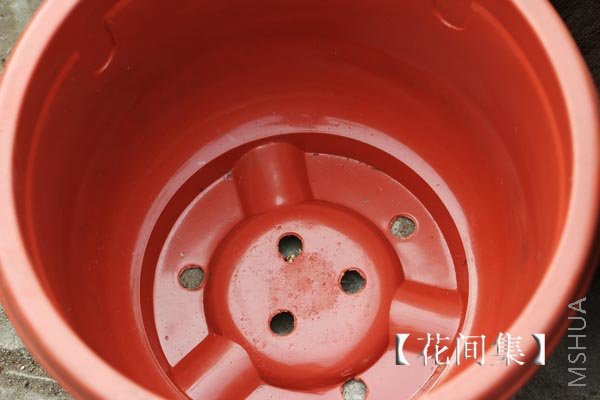 IMG_9749 ����.jpg