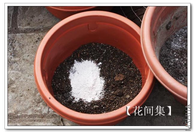 IMG_9205 ����.jpg