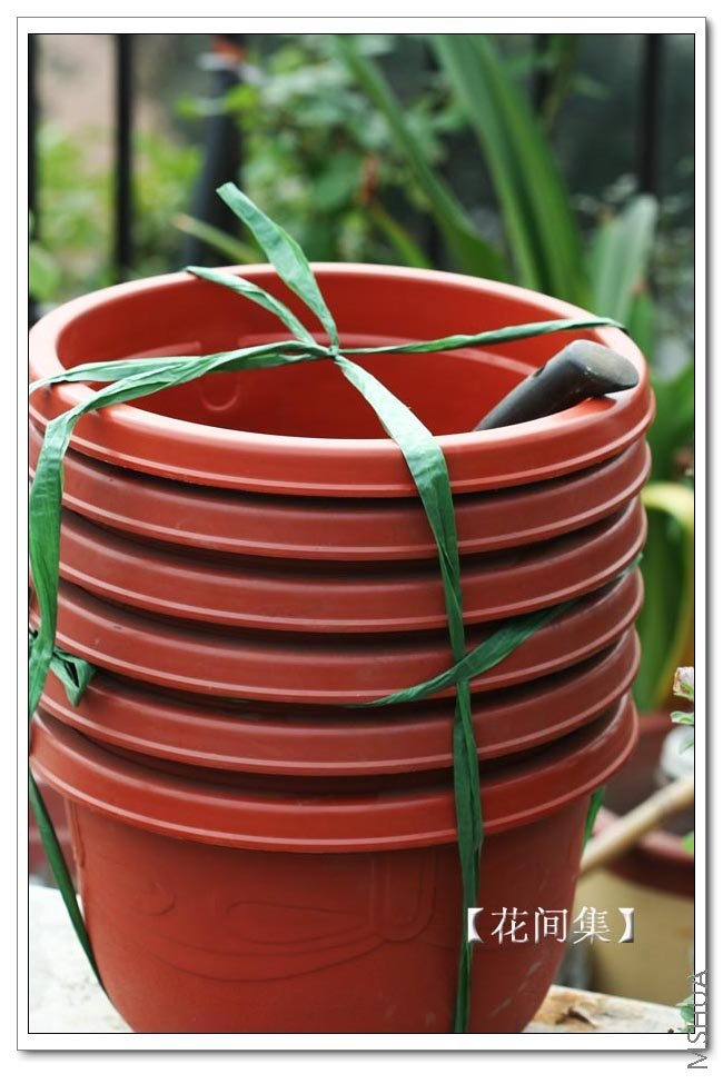 IMG_9738 ����.jpg