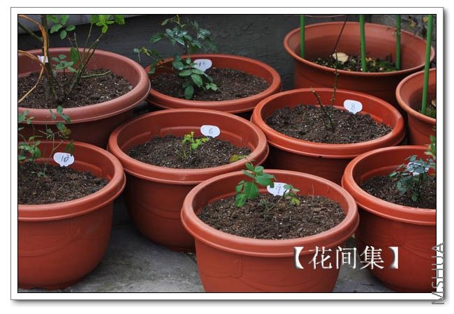 IMG_9220 ����.jpg