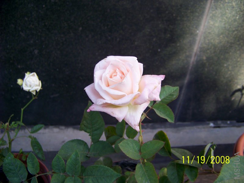 ��Ƭ 004.jpg