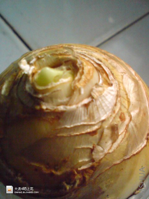 DSC02757.jpg