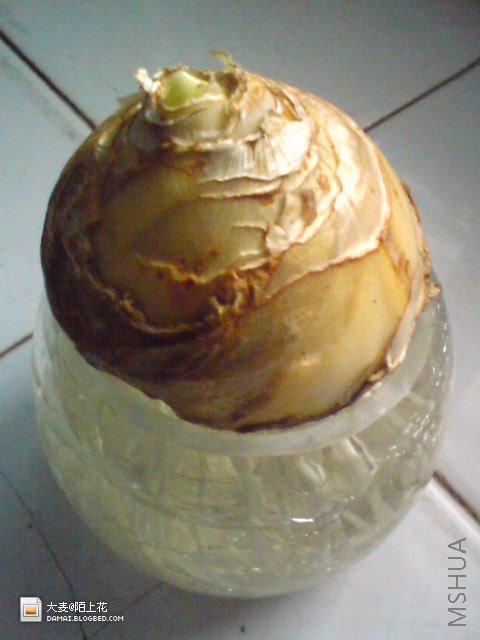 DSC02756.jpg