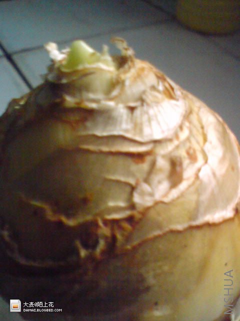 DSC02758.jpg