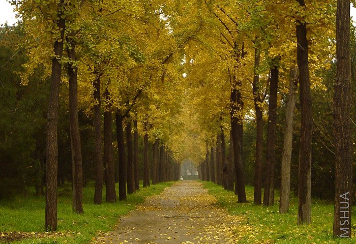 DSC05816-1.jpg