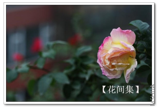 IMG_9613 ����.jpg