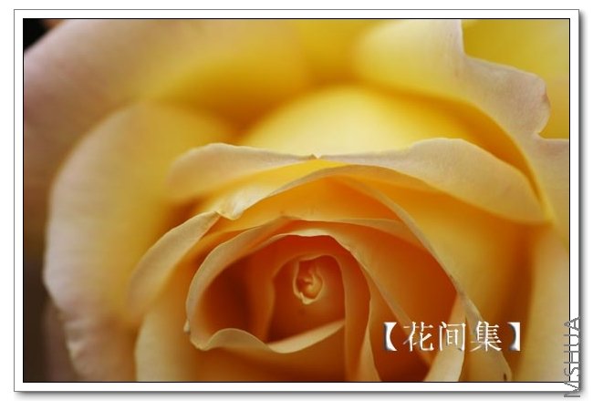 IMG_9705 ����.jpg