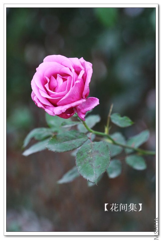 IMG_9622 ����.jpg