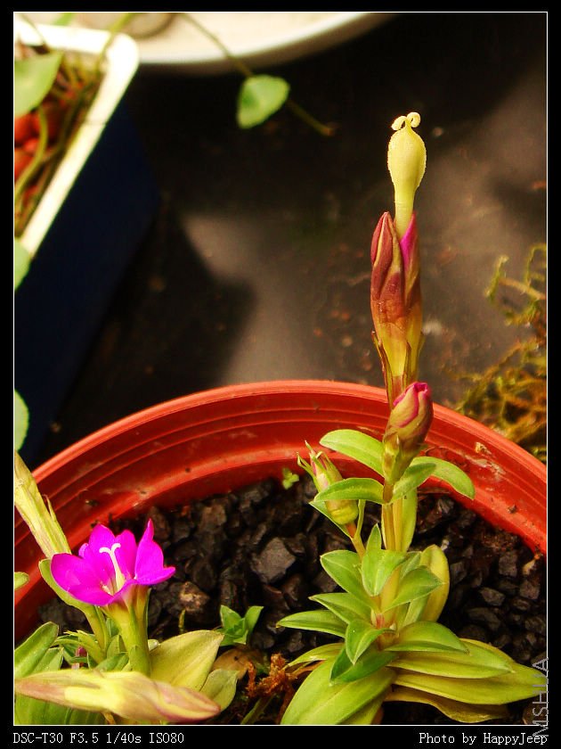 081120 ��������.jpg