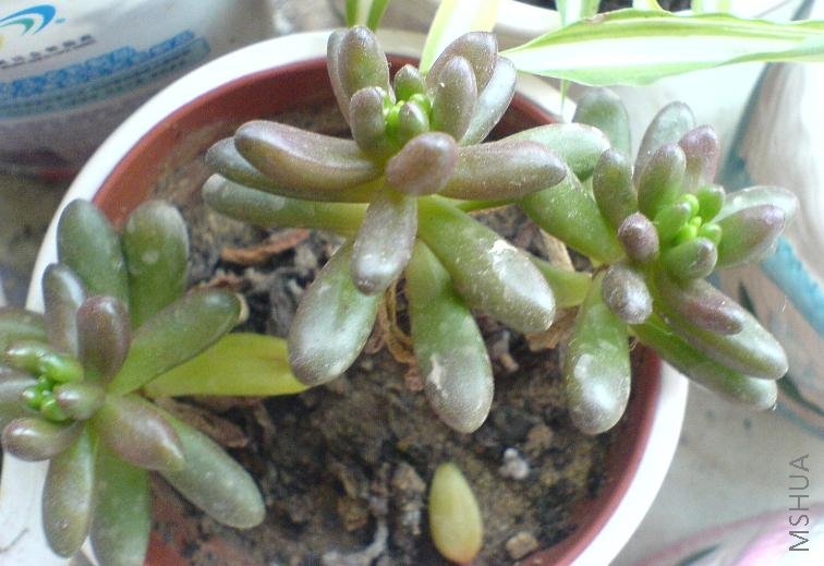 ��֪��������  �����ϰ��͵�