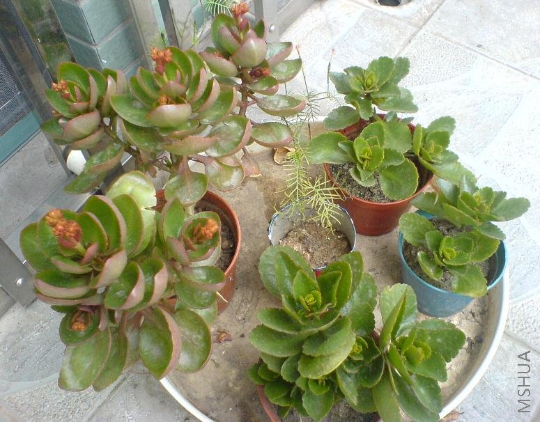 ���ټ���