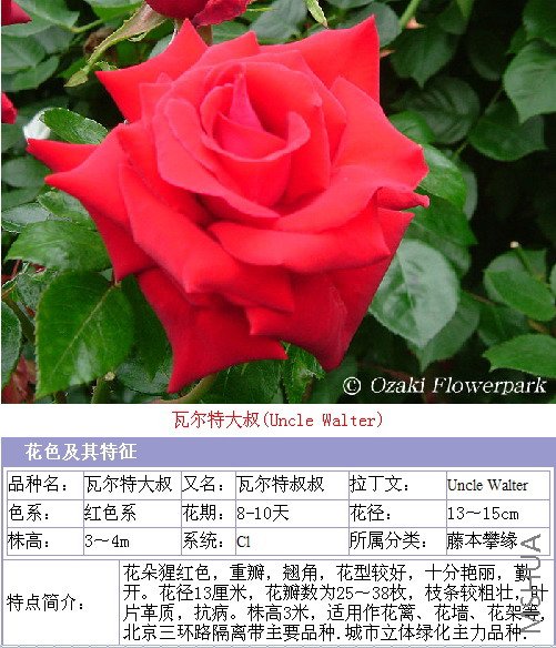 Image00000.jpg