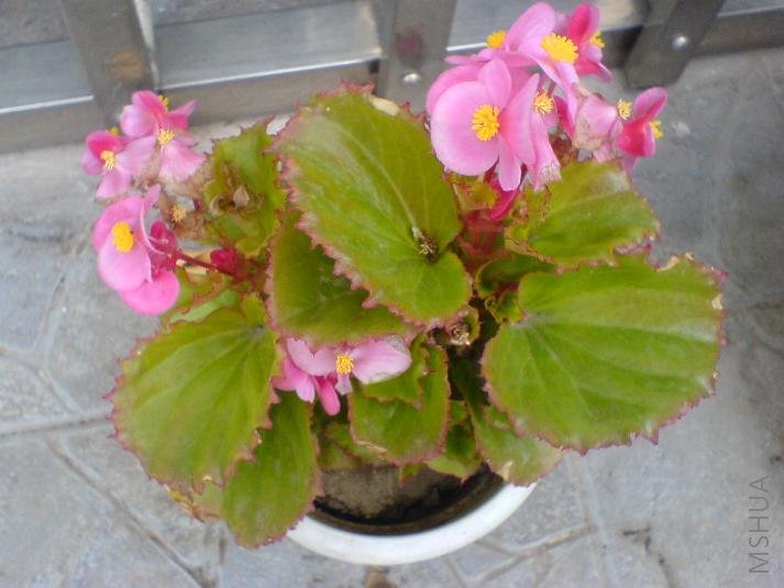 �������͵ĺ���  ��Ȼ��������