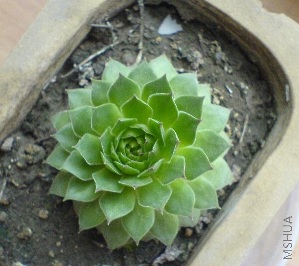 ���˴���껹����ô��  ʵ���ǲ���������