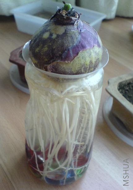 ˮ��������ƿ��ĺǺǷ���������