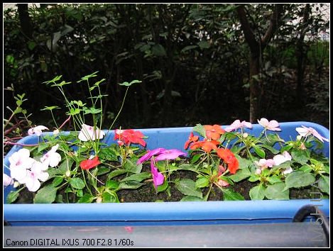 ������11�³����˲�ģ����ڼ����ˡ�