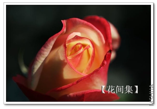 IMG_0003 ����.jpg