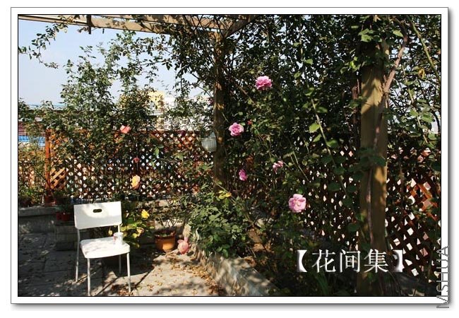 IMG_0045 ����.jpg