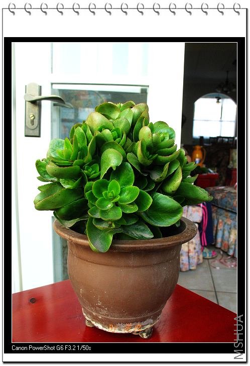 ��Ƭ 087.jpg