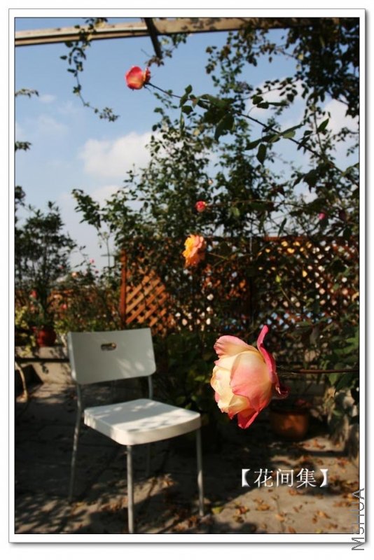 IMG_0057 ����.jpg