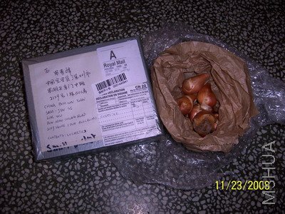 ��Ƭ 013(400).jpg