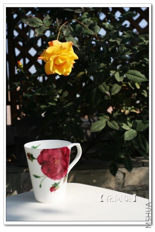 IMG_0041 ����.jpg