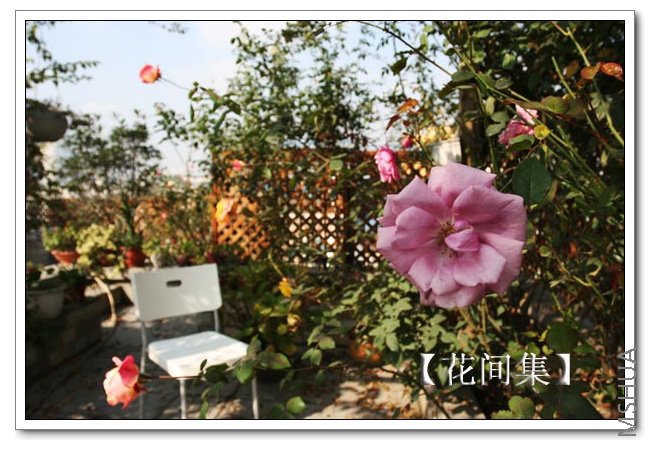 IMG_0056 ����.jpg