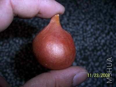 ��Ƭ 028(400).jpg