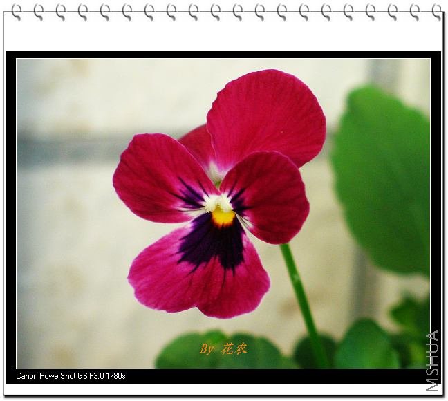 ��Ƭ 096.jpg