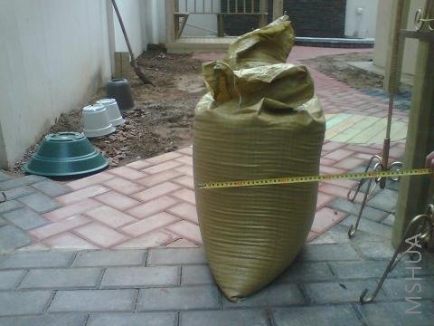 ����30����