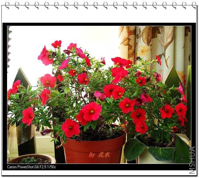 ��Ƭ 092.jpg