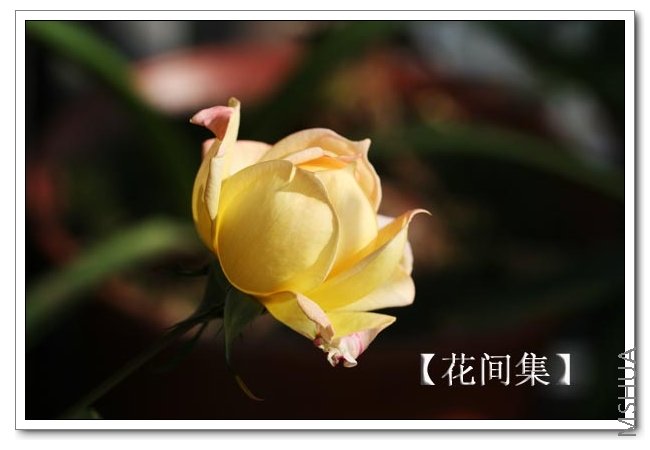 IMG_0020 ����.jpg