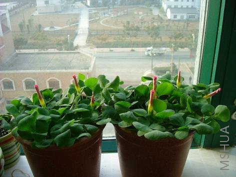 ���ڱ����ҵ�