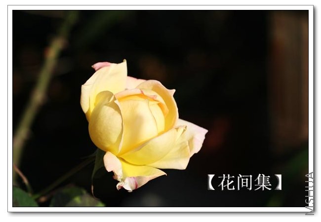 IMG_0017 ����.jpg