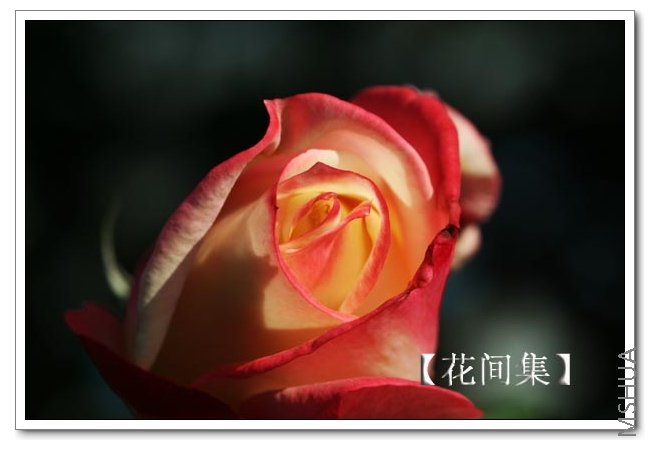 IMG_0005 ����.jpg