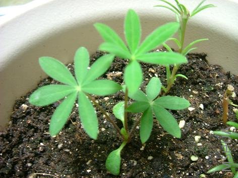 �����٣���֪��ʲô��ɫ�����ڴ���