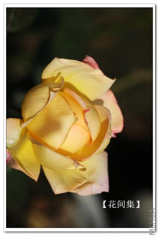 IMG_0024 ����.jpg