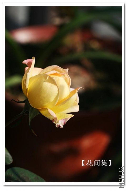 IMG_0021 ����.jpg