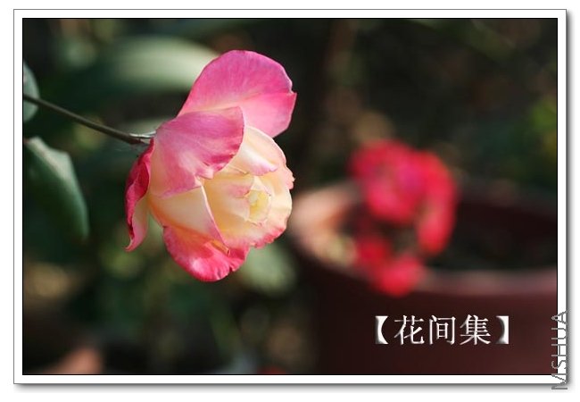 IMG_9931 ����.jpg