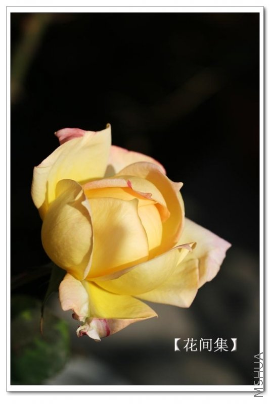 IMG_0018 ����.jpg