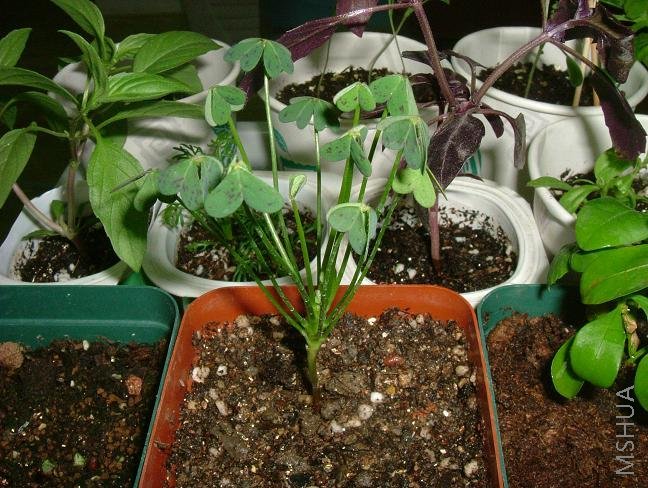 û�������ʱ��