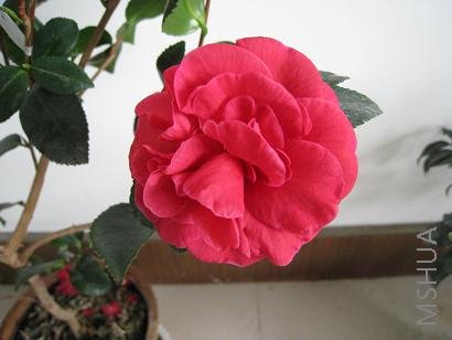 IMG_0204.JPG