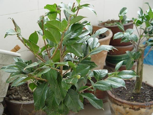 ˿ɴ��
