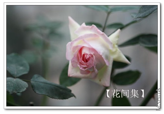 IMG_0159 ����.jpg